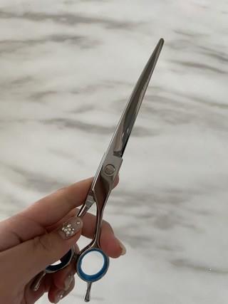 202501171900538dd372945b47309