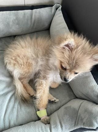 202501171900548dd3729464e6903