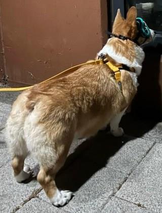 202501171900548dd3729467974d2