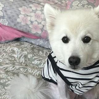 202501171900558dd372946a40ec4