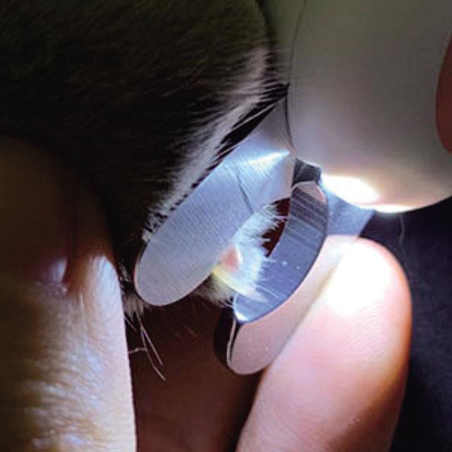 202501172001338dd3731bf34be05