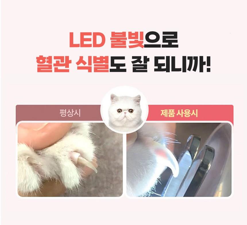 202501172001378dd3731c1c79850