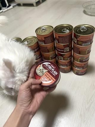 202501172102208dd373a3d3699be