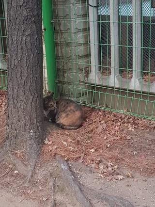 202501172102218dd373a3d524e8c