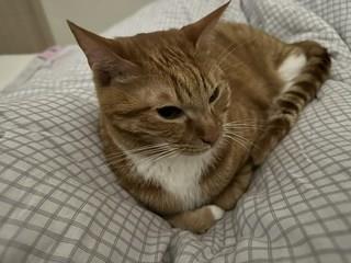 202501172102218dd373a3d8c083f