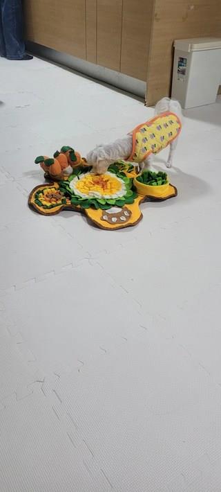 202501172202568dd3742b3f92f4a