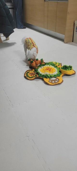 202501172202568dd3742b440e748