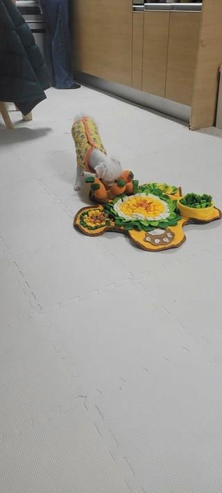 202501172202578dd3742b49c06b7