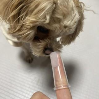 202501172303498dd374b35c63f3c