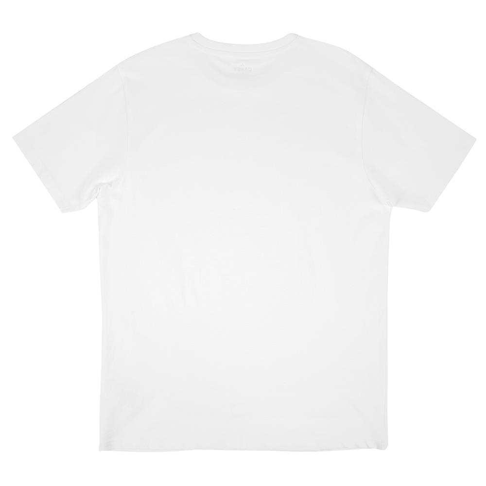 202501201742278dd3979ceee74ab