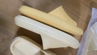 202501292025208dd40a30e548999