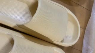 202501292025208dd40a30e8163f1