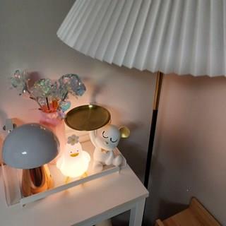 202502042049468dd455d76764d76