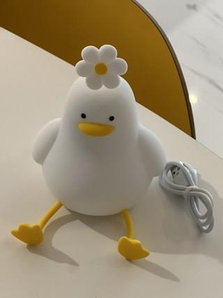 202502042049488dd455d77a3de3b