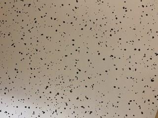 202502071743458dd479ef8cb5faf