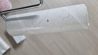 202502071844278dd47a774099312