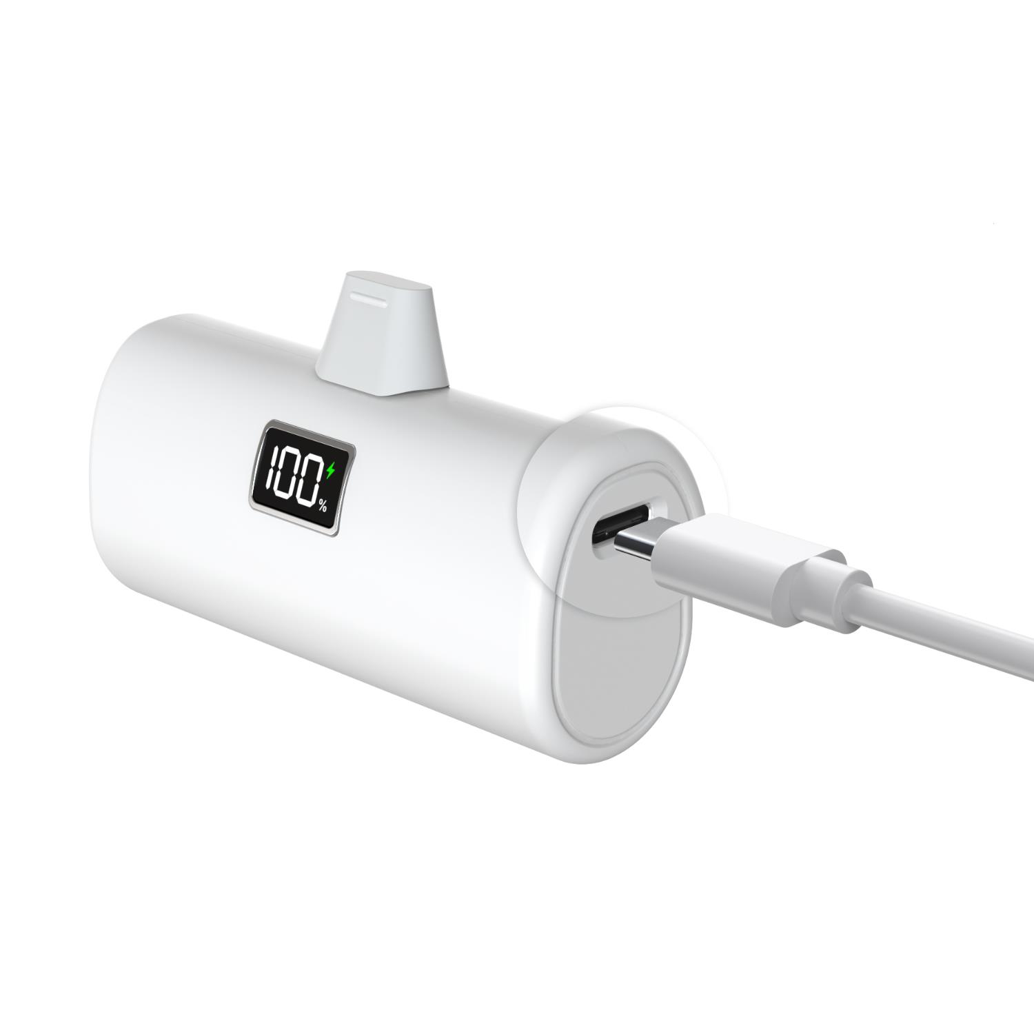 202502102116478dd4a183a9598fb