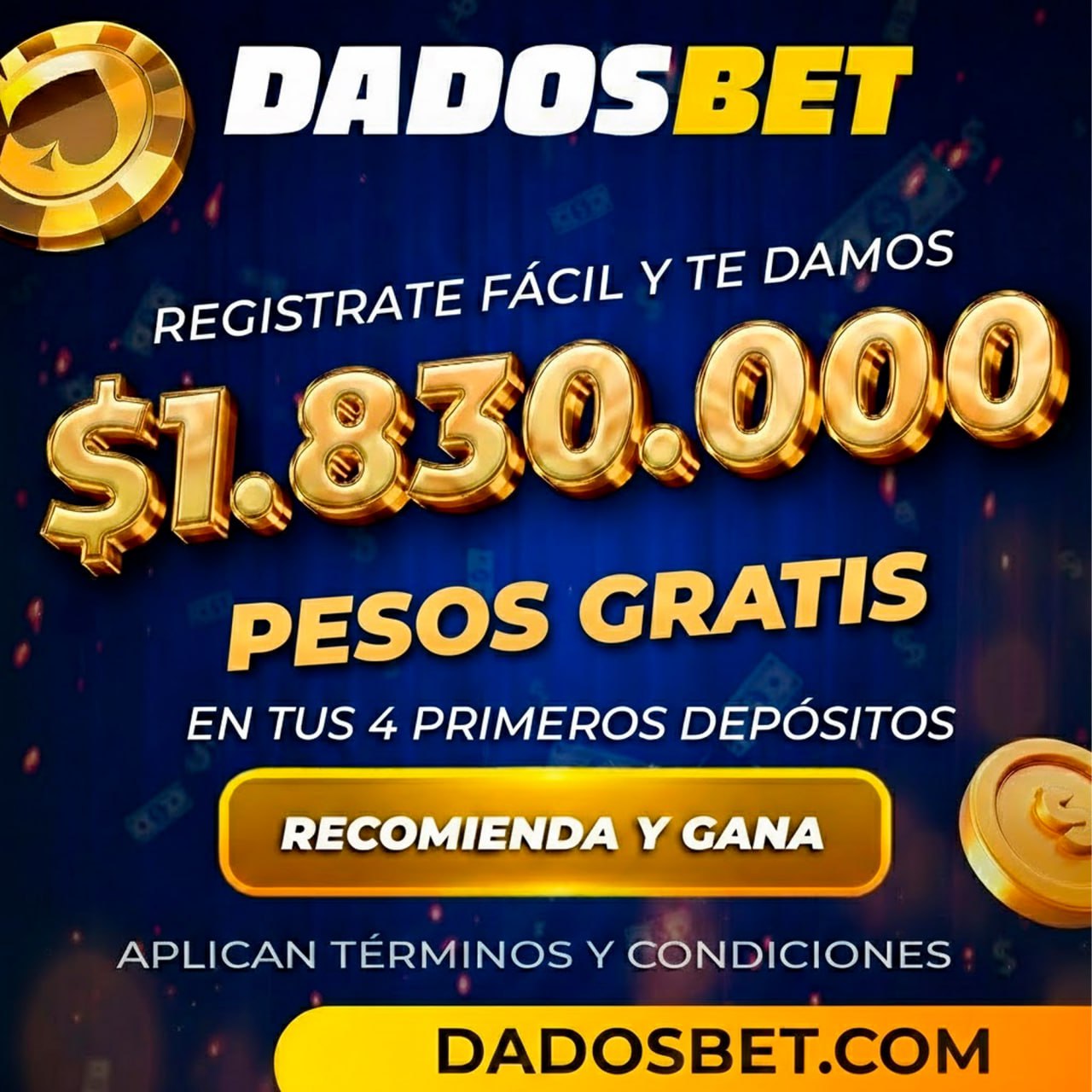 202602022204158de62426c89b8e9