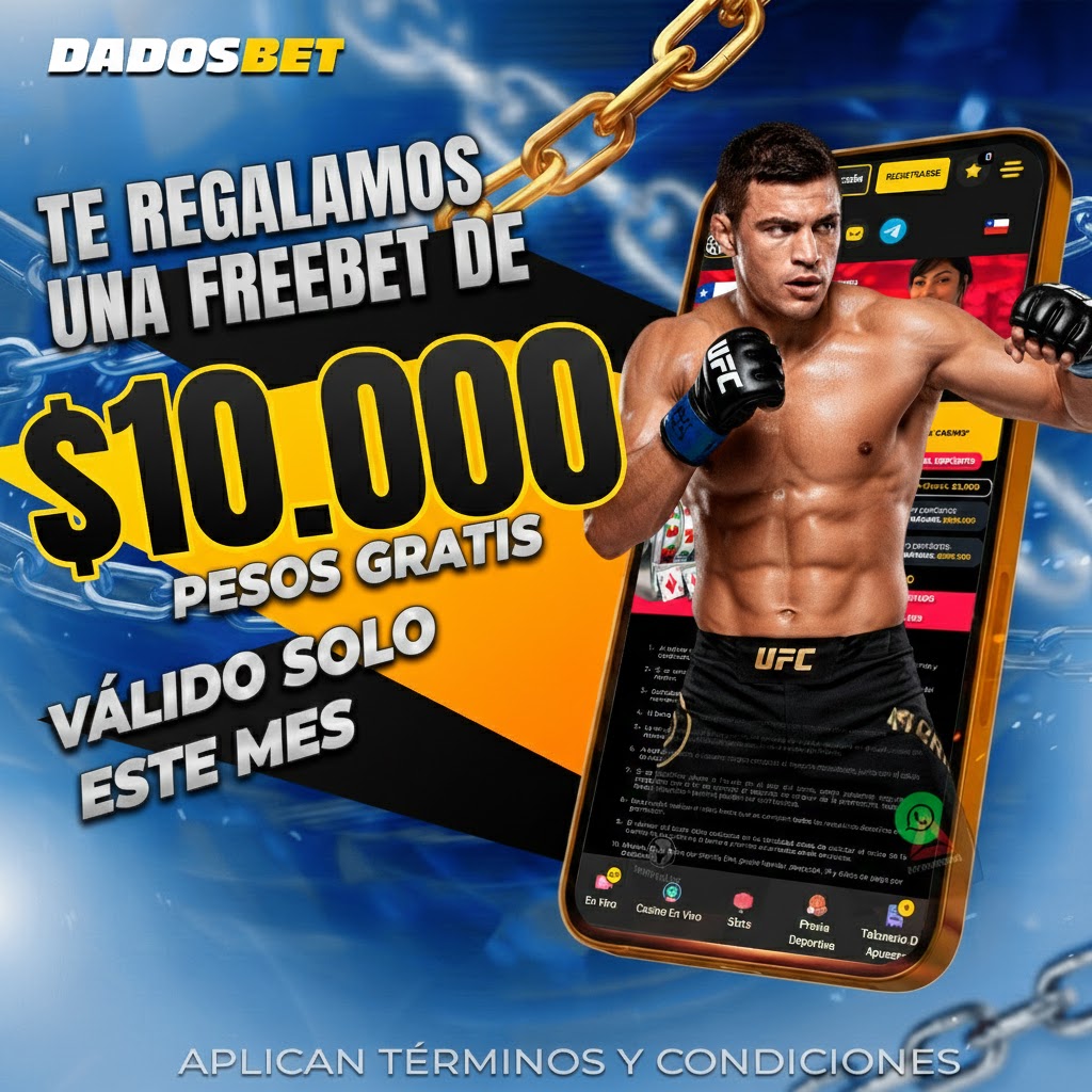 202602022208028de6242f38c144c