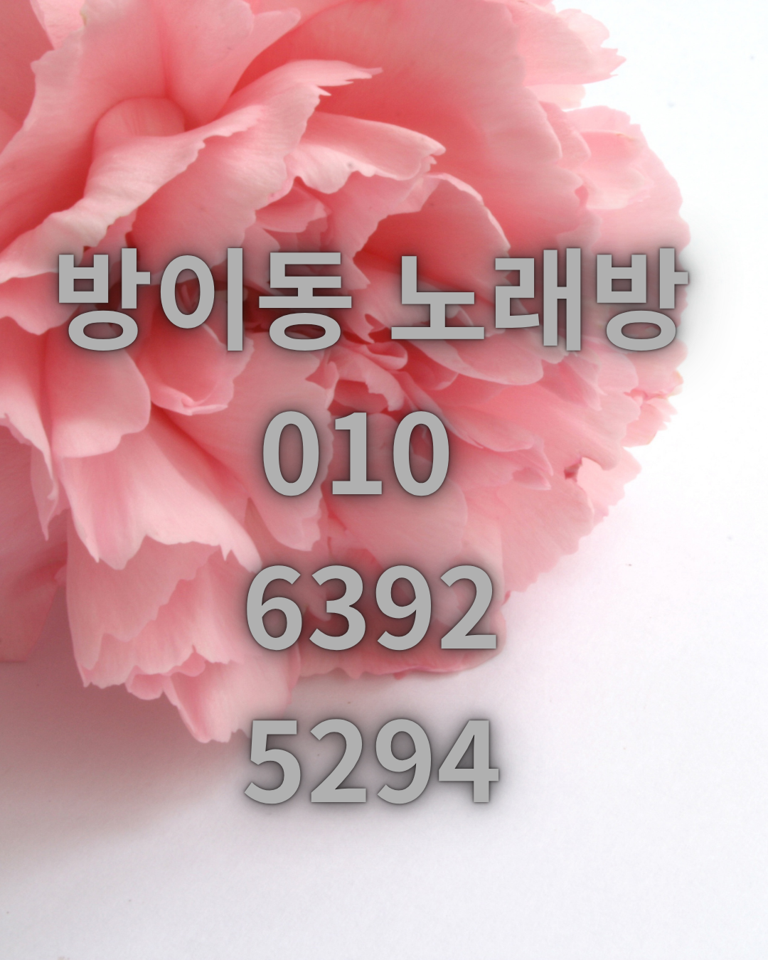 202608111318328def7a99692beb1.jpg